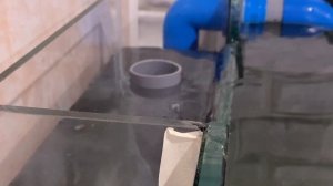 Морской аквариум запуск | Аквариум | Морской аквариум своими руками | перелив | самп