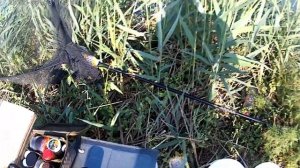 рыбалка с прикормочным корабликом!рыбалка с карповым корабликом