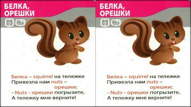 Стишок для деток  про белку и орешек