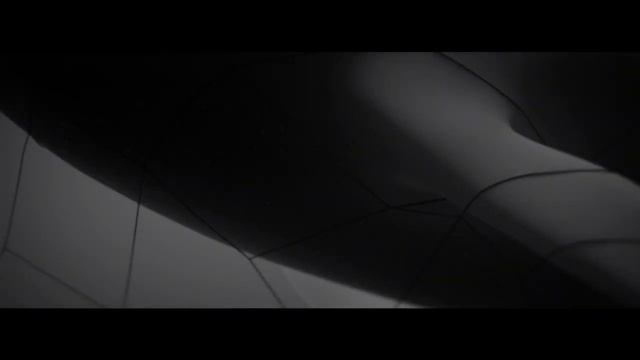 The Last Memory - stop porpoises and dolphins dying in fishing gear | Whale and Dolphin Conservatio смотреть онлайн