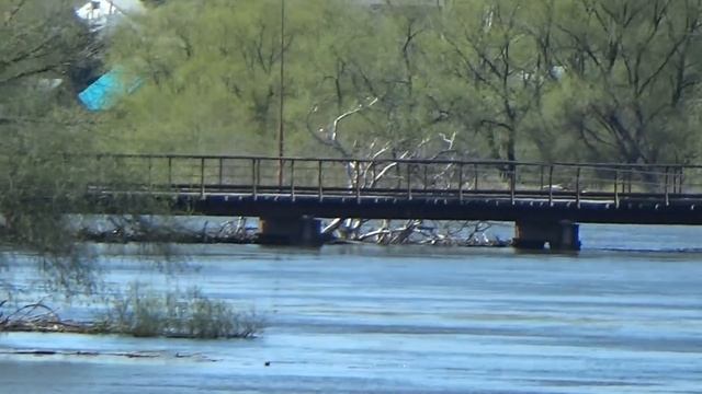 Уровень воды в р.Ишим в г.Ишим на 01.05.16 смотреть онлайн