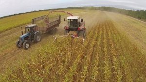 Кормоуборочный комбайн КВК-800 «ПАЛЕССЕ FS80» – мастер уборки