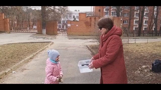 Кастрюля на голове . смотреть онлайн