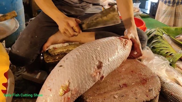 Amazing Live Big Mrigal Fish Cleaning & Cutting By Expert Man | Fish Cut Skills смотреть онлайн