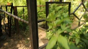 Установка ограды