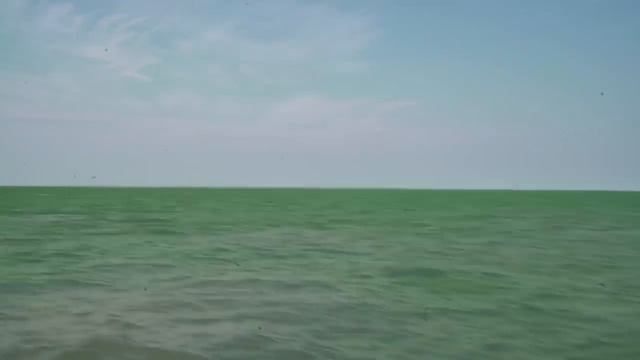 SIDEMEN EXTREME FISHING vs LOGAN PAUL смотреть онлайн