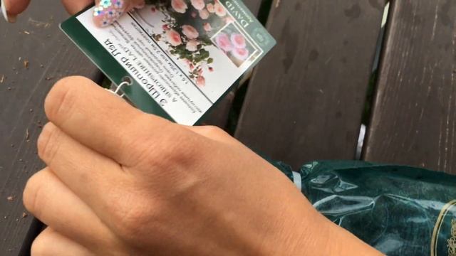Обзор посылки из магазина опт—хоз. Роза A Shrophire Lad. Роза Giardina. смотреть онлайн