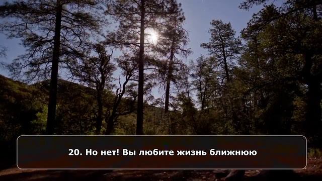 Mansoor Mohiddine. Сура "Аль - Къийама". смотреть онлайн