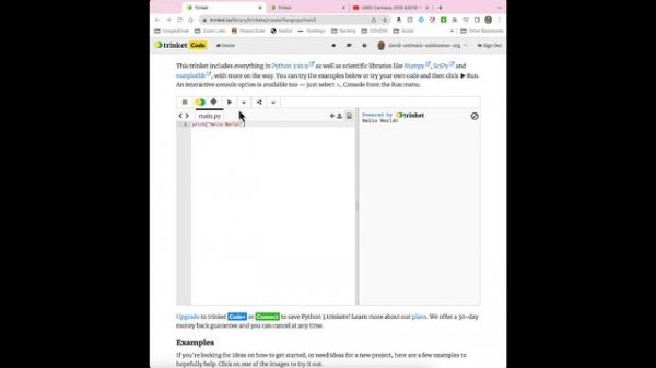 Programming in Python on Trinket
