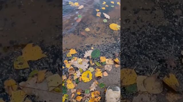 Рыбалка на Неве.Ловля окуня#fishing смотреть онлайн