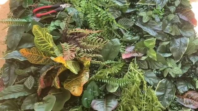 Фитостена из искусственных растений смотреть онлайн