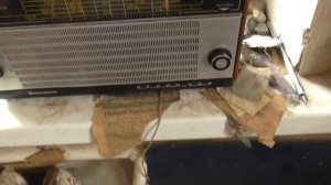 сравнение двух океанов 209-214