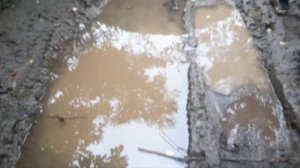 Что такое трейл