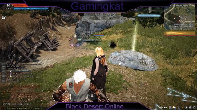 Black Desert Online!