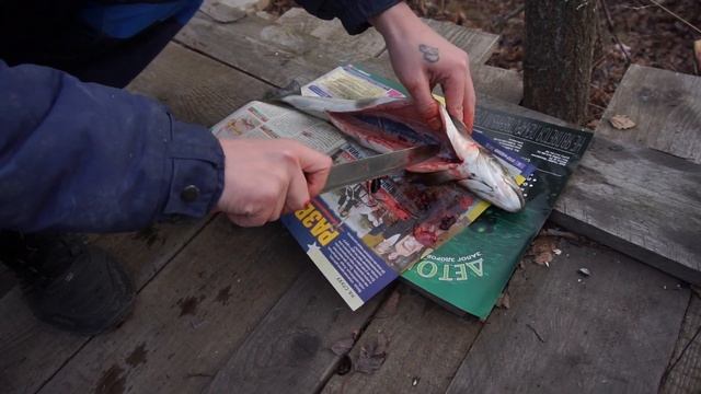 После рыбалки. Балтийский лосось. Зимний Пикник. Первая часть. смотреть онлайн