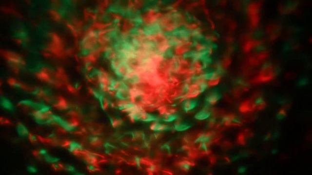 Светодиодный светильник проектор Vega, разноцветный свет, 40 м2, IP44, Kaemingk