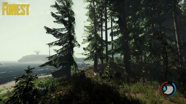 Sons Of The Forest vs The Forest - Physics and Details Comparison