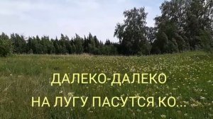 Песенка-загадка "Кто пасётся на лугу"