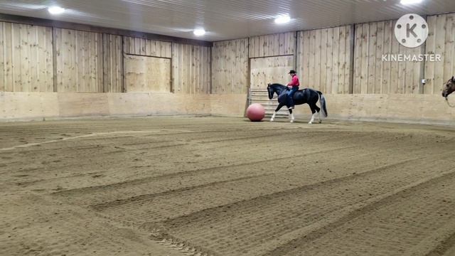 Teo Hip #53 offered by Triple R Stables @The Southern Belle Classic March 24th/25th in Aiken SC. смотреть онлайн