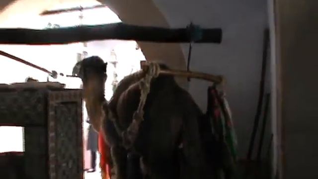 Тунис - Священный город Кайруан смотреть онлайн