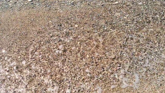 Красота и тепло. 4К. Крым - Ялта, пгт. Гаспра. Юбк. Чёрное Море. смотреть онлайн