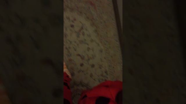 Самый лучший день рождение в мире смотреть онлайн