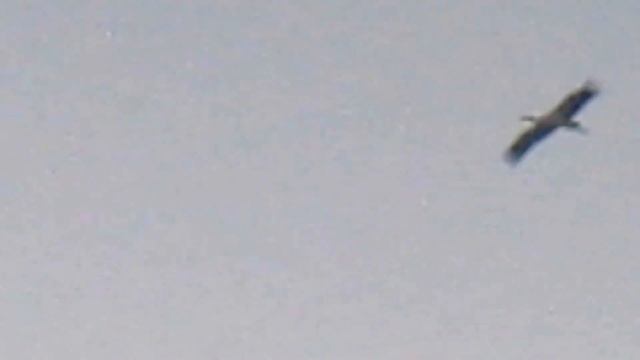 журавлик в небе смотреть онлайн