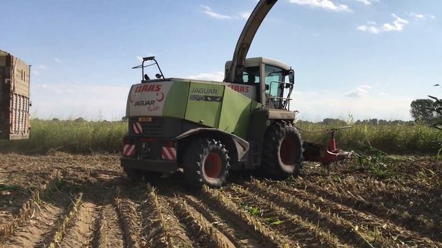 CLAAS JAGUAR 870 смотреть онлайн