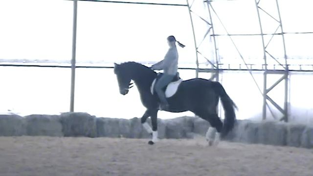 принимание рысь96 смотреть онлайн