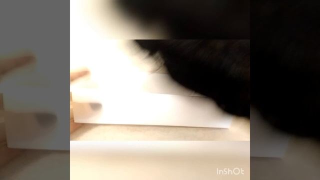 Парик из магазина Wignee Store. Получила парик очень быстро. Качество хорошее. смотреть онлайн