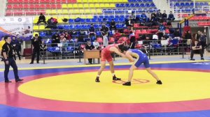 Вольная борьба