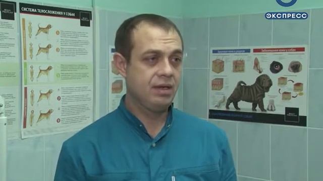 В Пензе на базе зоопарка открылась ветклиника смотреть онлайн