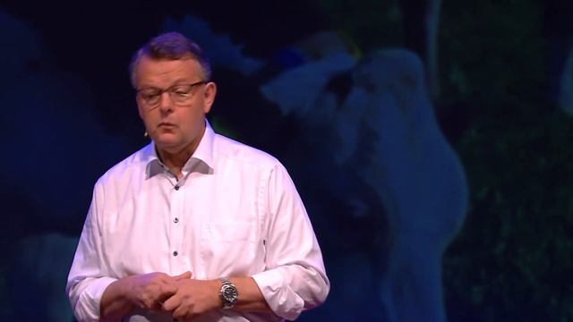 Innovative solution for animal feed | Peter van Paridon | TEDxVenlo смотреть онлайн