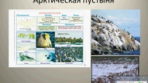 География 8 кл Урок 1 Тундра Аркт пустыня