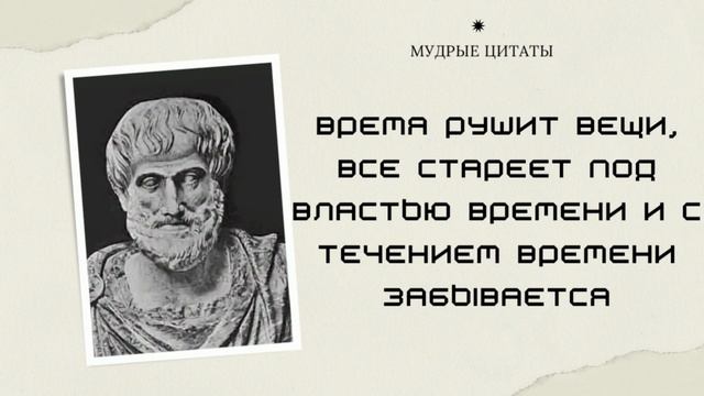 📕Цитата Аристотеля, которые могут изменить вашу жизнь навсегда! смотреть онлайн