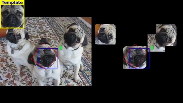 fast screening algorithm for template matching смотреть онлайн