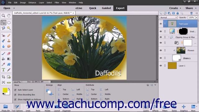 Photoshop Elements 15 Tutorial Moving Layer Content with the Move Tool Adobe Training смотреть онлайн