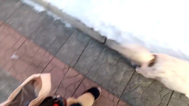 Vlog: уехали за город на выходные 13.12.20 смотреть онлайн