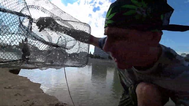 За РАКАМИ: Поймал рыбу ИГЛУ, оставил раколовки на НОЧЬ смотреть онлайн