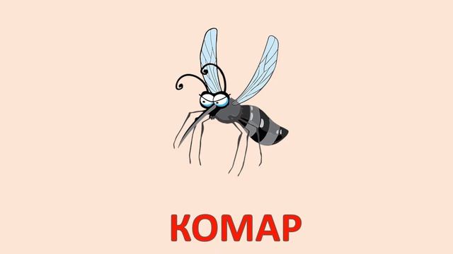 Насекомые. Карточки Домана. Насекомые для детей. Развивающее видео. смотреть онлайн