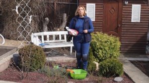 Розы в саду. Обеспечиваем им правильное и полноценное питание.