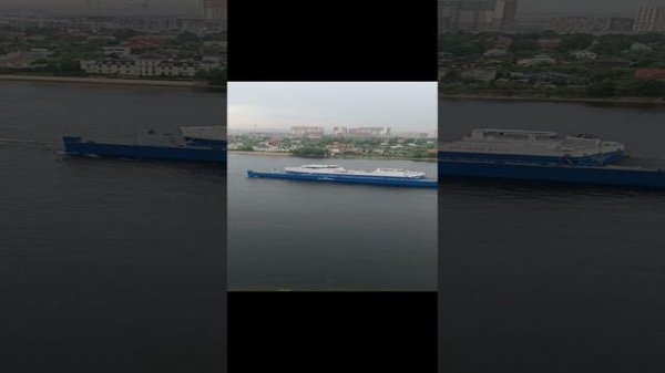 Русский краб