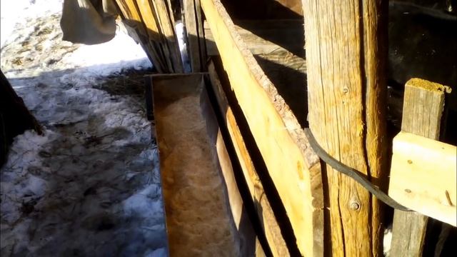 Холодный метод содержания бычков на откорме смотреть онлайн