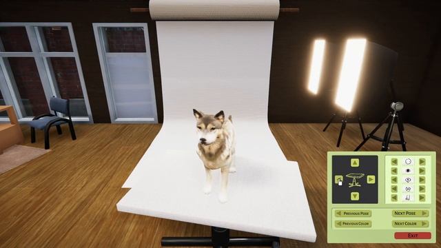 Animal Shelter - Official Release Trailer | STEAM смотреть онлайн
