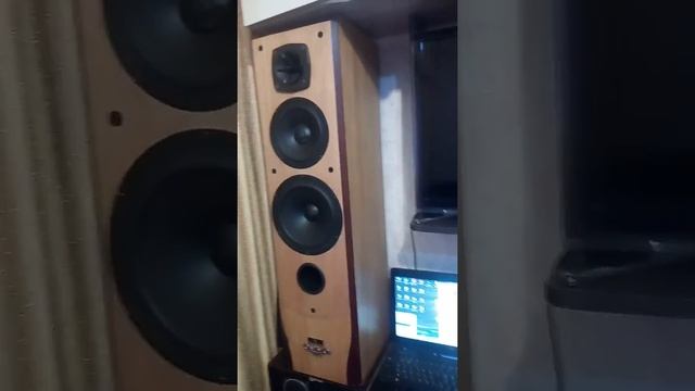 КИТАЙСКИЕ КОЛОНКИ CHANGHONG смотреть онлайн