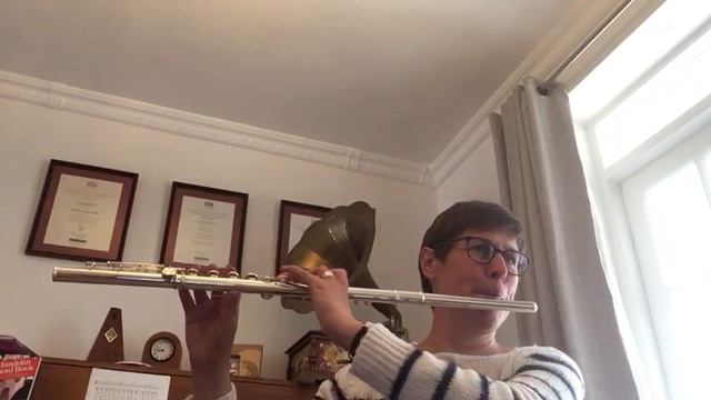 Colours of The Wind - Flute - Miss Hathaway смотреть онлайн