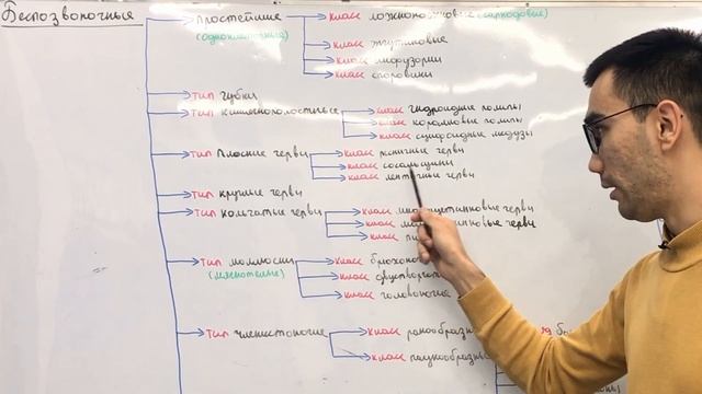 Классификация животного мира | Зоология (7 класс) | смотреть онлайн