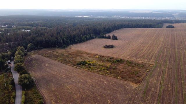 Участок 1,6 Га под коттеджный городок (Иванковичи - Кременище) (30.08.2021) смотреть онлайн