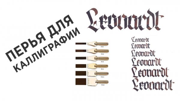 Перья для КАЛЛИГРАФИИ: manuscript, leonardt, тушедержатель, обзор