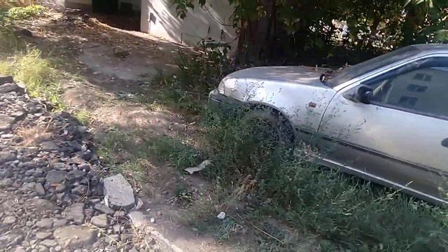 Заброшенная Daewoo Nexia смотреть онлайн